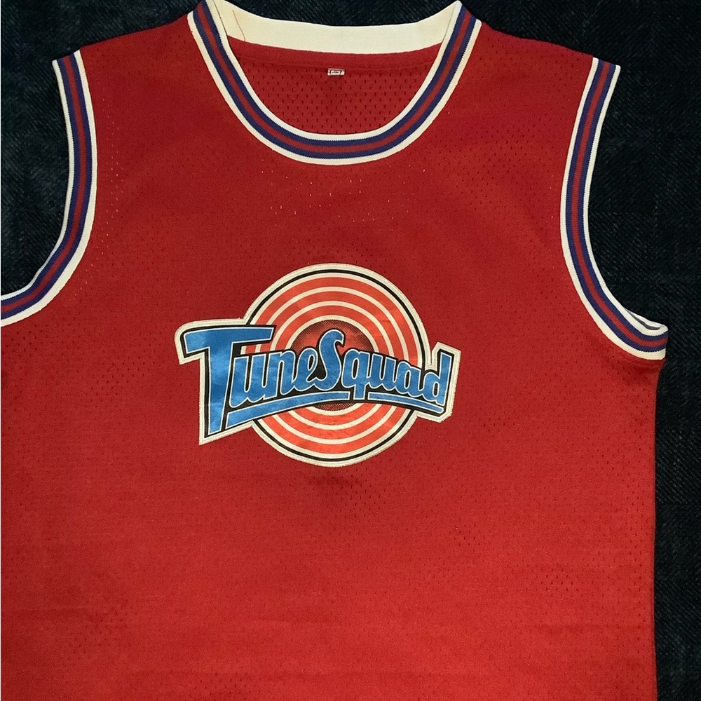Kids Space Jam Looney Tunes Tunesquad jersey